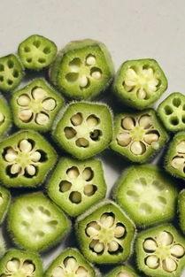 星辰蓝牙吃瓜,吃瓜群众的新宠，科技与娱乐的完美融合