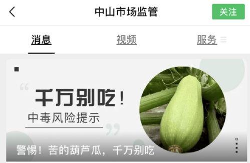 吃葫芦瓜不好,揭秘其潜在危害