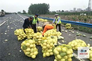 高速上吃瓜,一场意外的“吃瓜”之旅