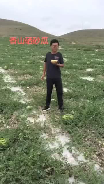 吃瓜山,探寻神秘山巅的瓜果传奇