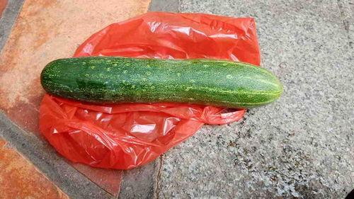 小说吃生瓜,吃生瓜的奇幻之旅