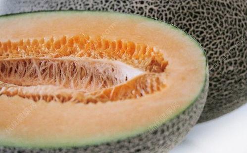 吃瓜吃的舌头疼,吃瓜引发的舌头疼事件