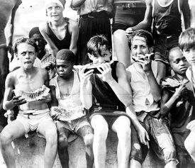 证据吃瓜,吃瓜群众的真相大揭秘