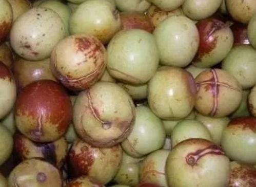 吃瓜不吃枣,探寻瓜果界的独特饮食文化