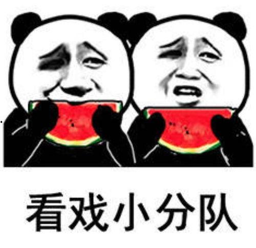 多人吃瓜表情包,多人吃瓜表情包，揭秘网络社交新潮流