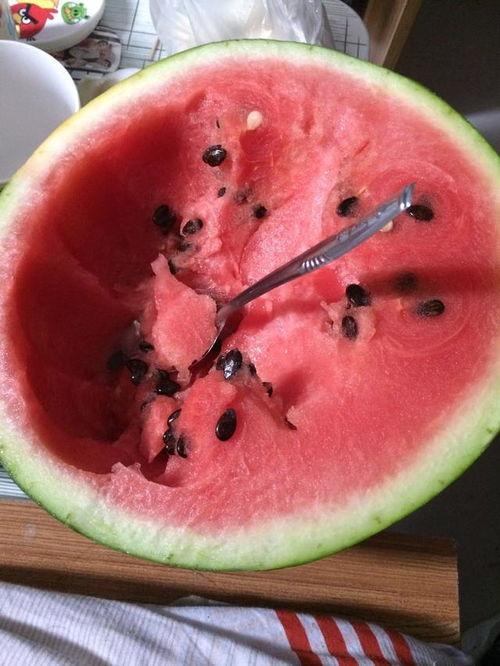 白露吃瓜第几期,揭秘瓜界风云，品味生活百态