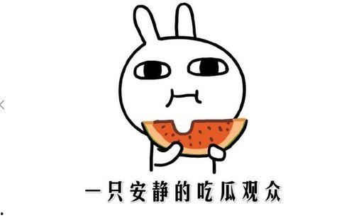 吃瓜的群众介绍,吃瓜群众眼中的明星幕后故事