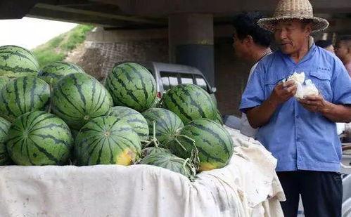 最新济宁微山吃瓜事件,一场引发热议的网络风波揭秘