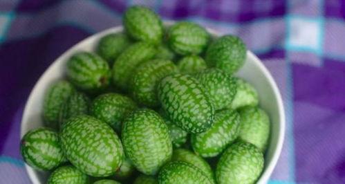 小瓜花可以吃不,探寻不凡口感