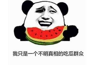 送你吃瓜啥意思,网络流行语的趣味解读